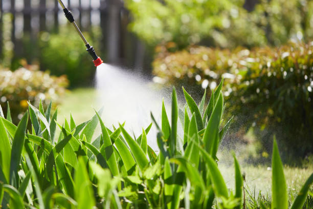 Tamper-Resistant Bait Stations for Rodents in Citrus