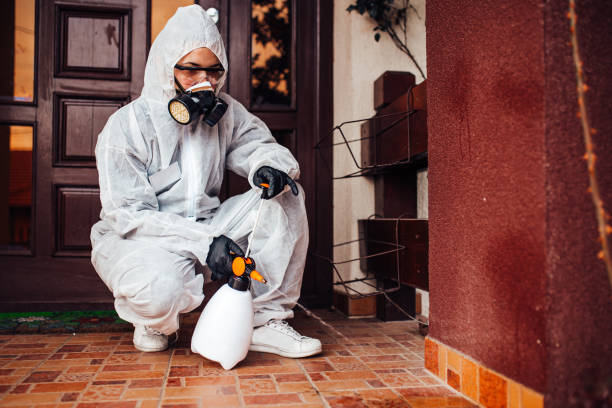 Attic and Crawl Space Rodent Treatment in Citrus